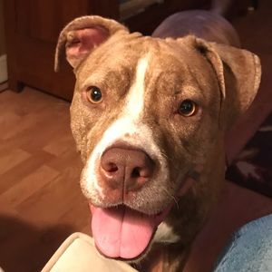 Meet your Posher, Rebecca